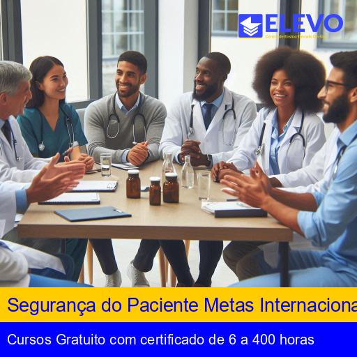 Segurança do Paciente Metas Internacionais